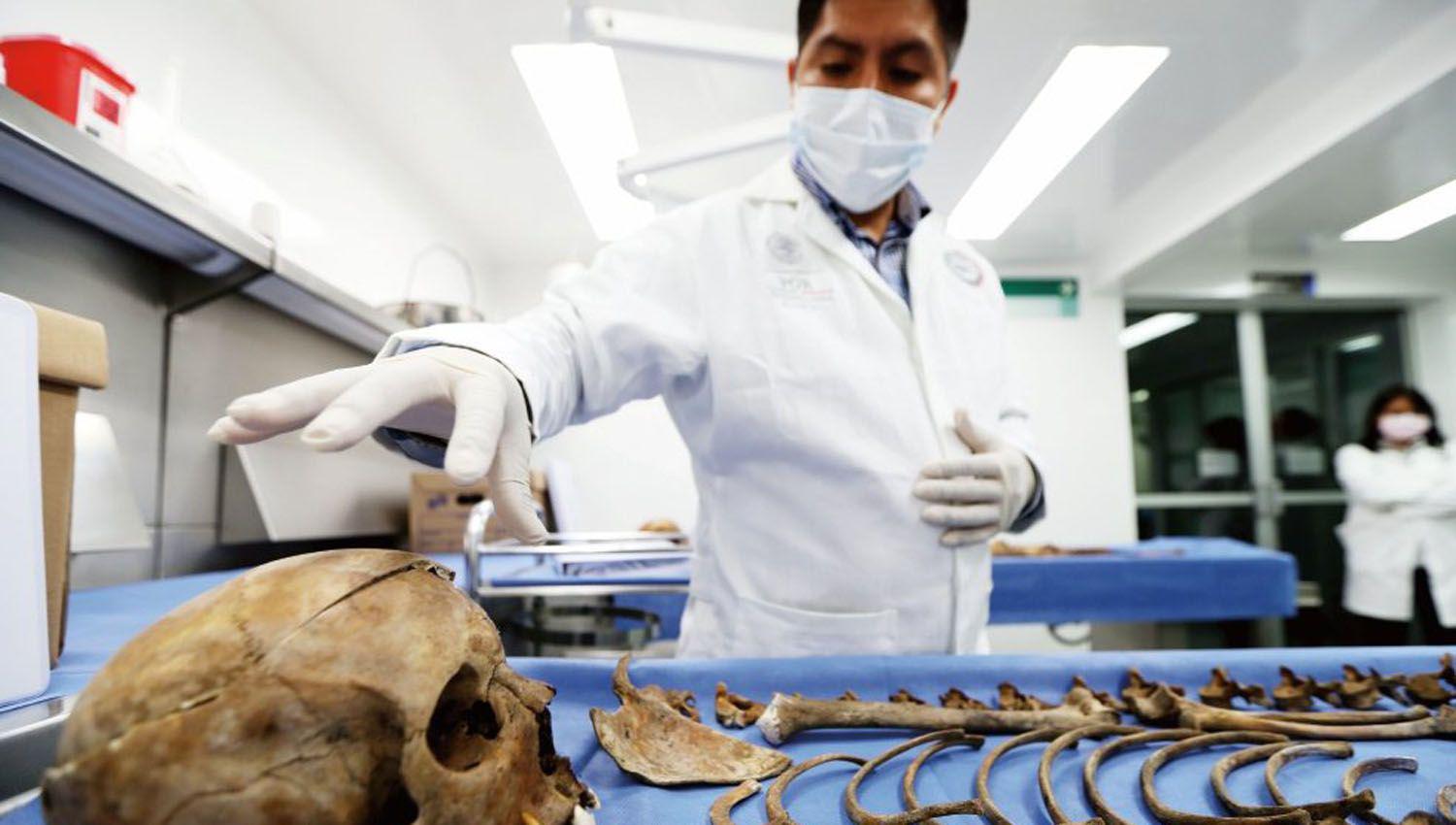 Crearon una osteoteca para resolver casos forenses