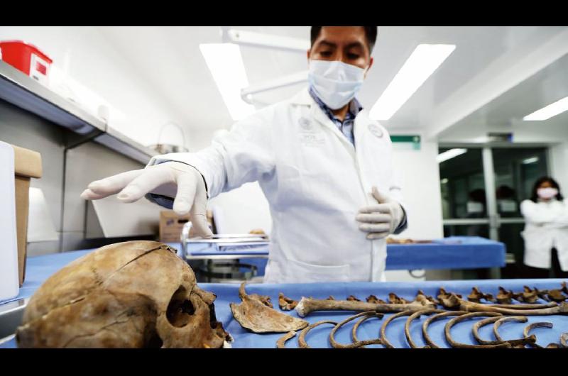 Crearon una osteoteca para resolver casos forenses