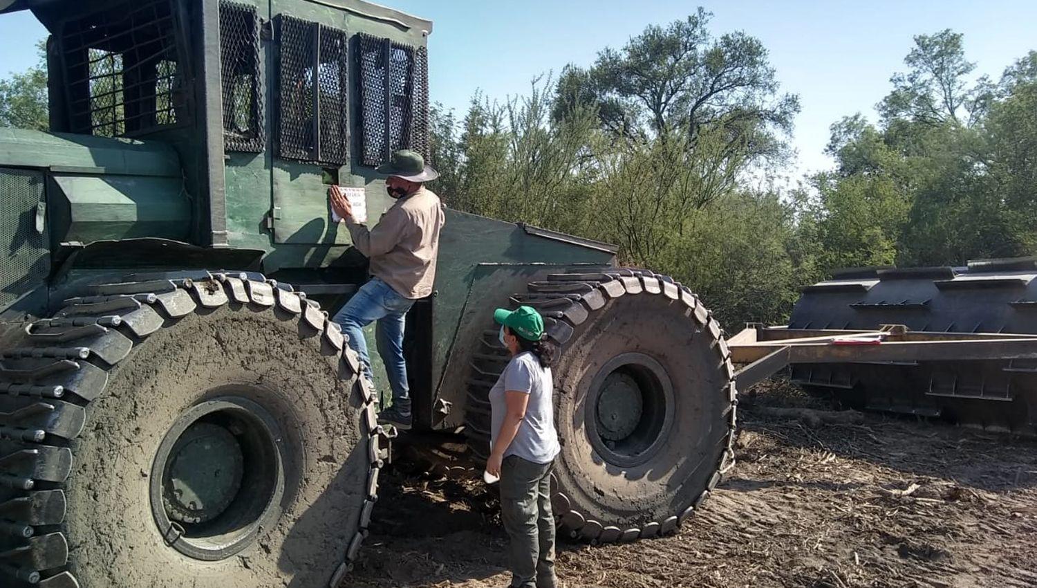 La Direccioacuten de Bosques detuvo un importante desmonte ilegal en el departamento Moreno