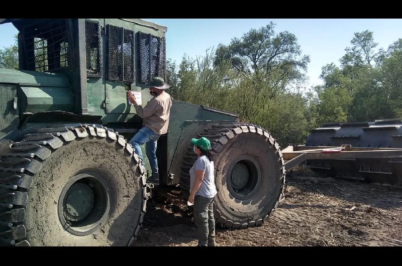 La Direccioacuten de Bosques detuvo un importante desmonte ilegal en el departamento Moreno