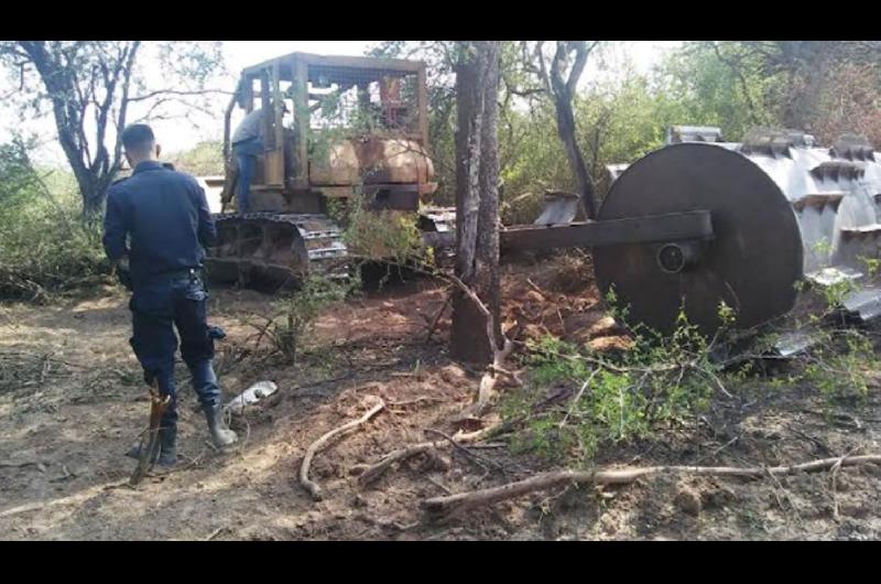 Personal de la Direccioacuten de Bosques detuvo desmontes ilegales en el departamento Alberdi