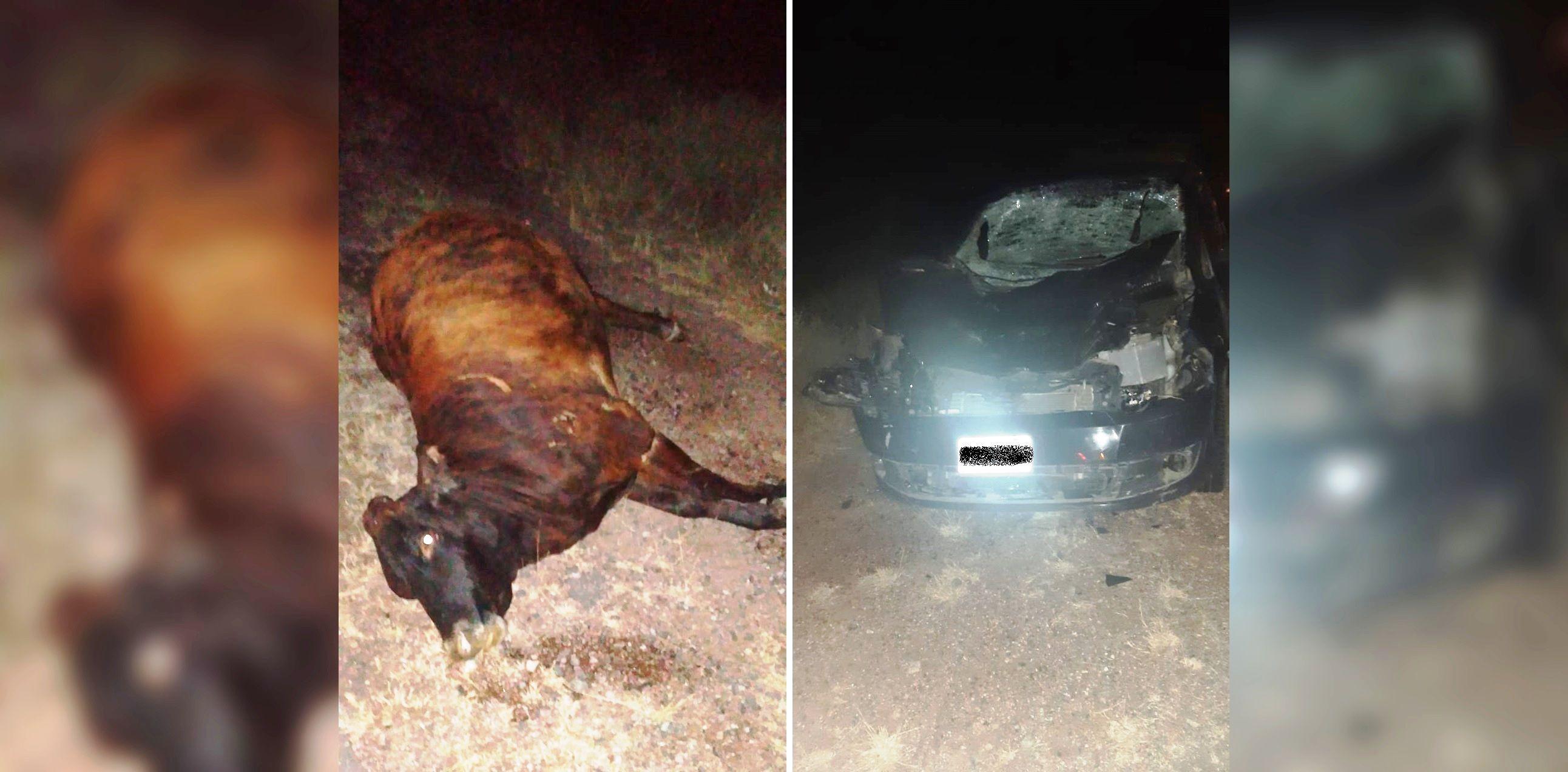 Dejoacute a una vaca suelta y provocoacute un terrible accidente sobre la Ruta 9