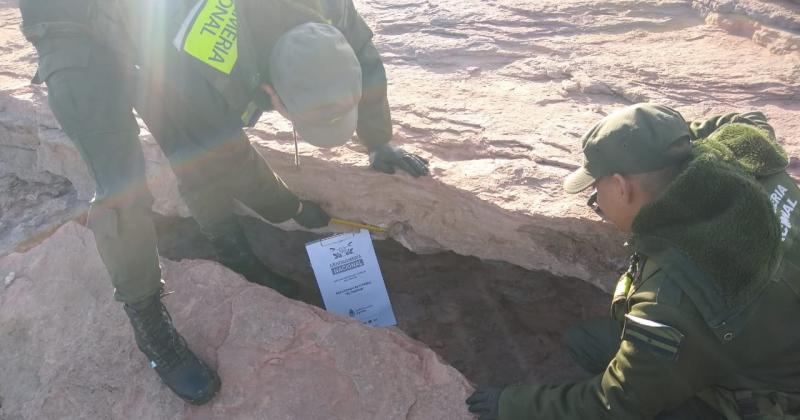 Encontraron restos de un dinosaurio que habitoacute Neuqueacuten hace maacutes de 90 millones de antildeos