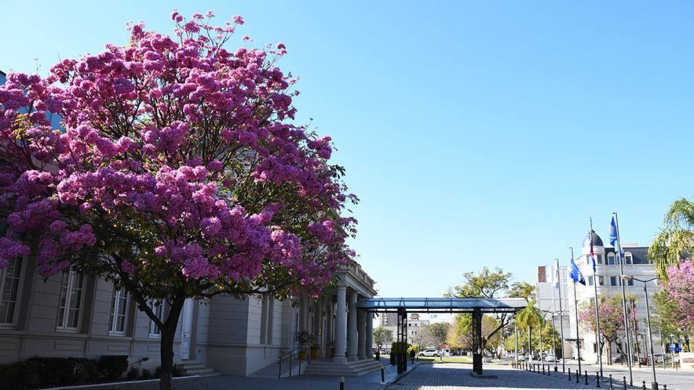 Viernes con temperaturas agradables en Santiago del Estero