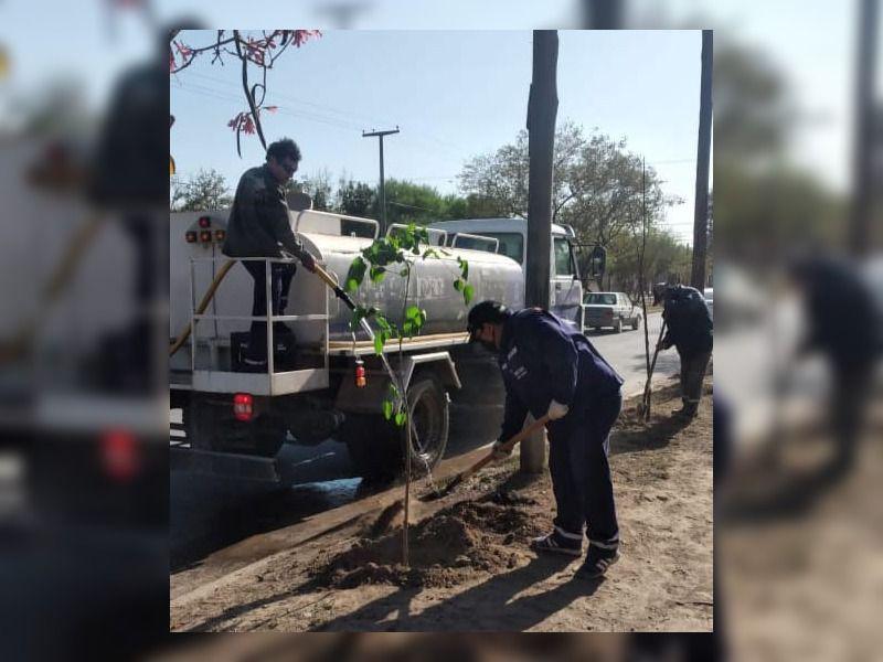 La Municipalidad plantoacute maacutes de 2500 aacuterboles en el barrio Mosconi