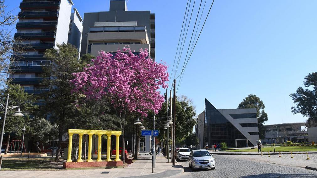 Lunes sin lluvias- asiacute estaraacute el tiempo este 14 de noviembre en Santiago