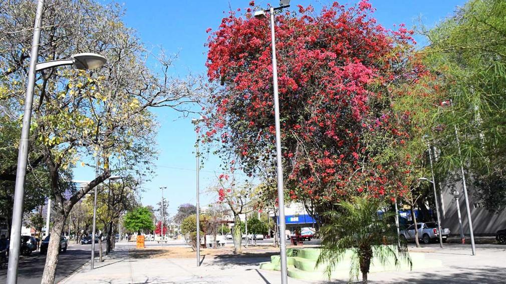 Domingo caluroso- se esperan maacuteximas de 37degC para este 4 de diciembre en Santiago