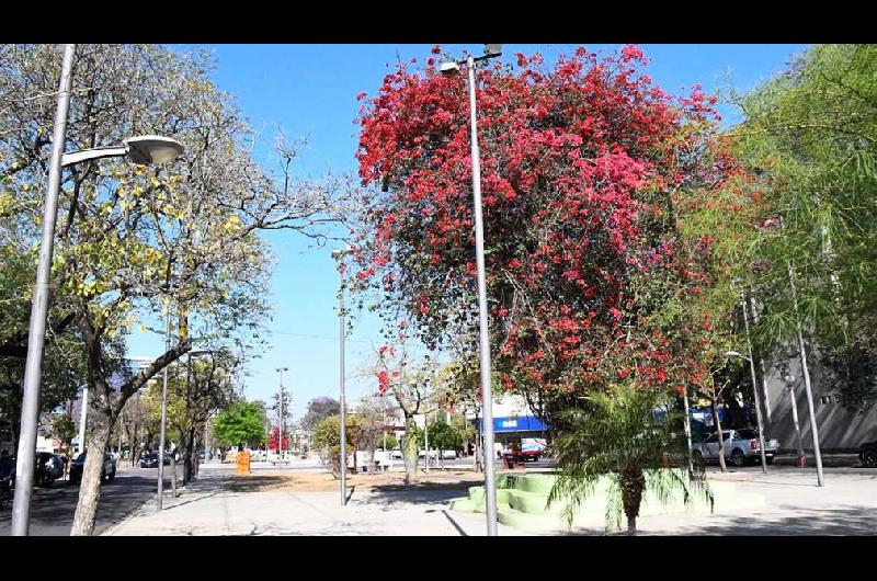 Domingo caluroso- se esperan maacuteximas de 37degC para este 4 de diciembre en Santiago