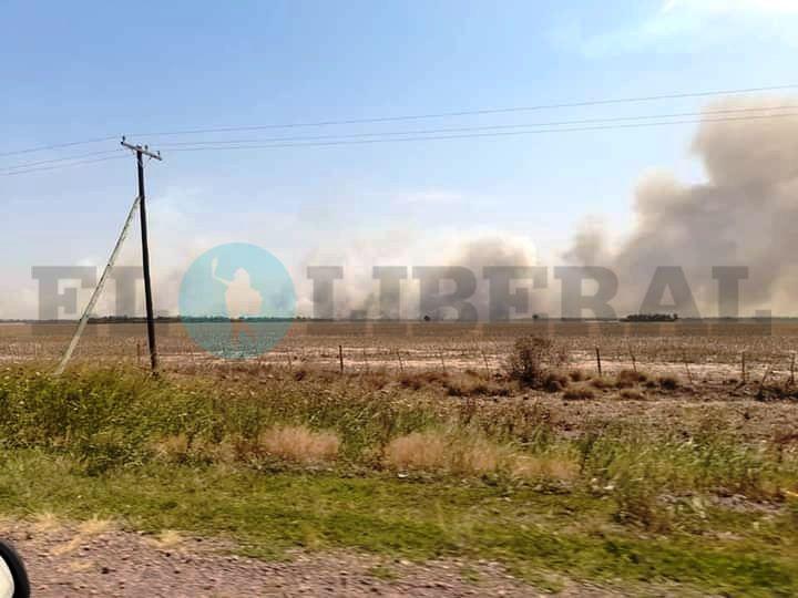 Fuego y desesperacioacuten en el interior por el incendio de campos en medio de la ola de calor