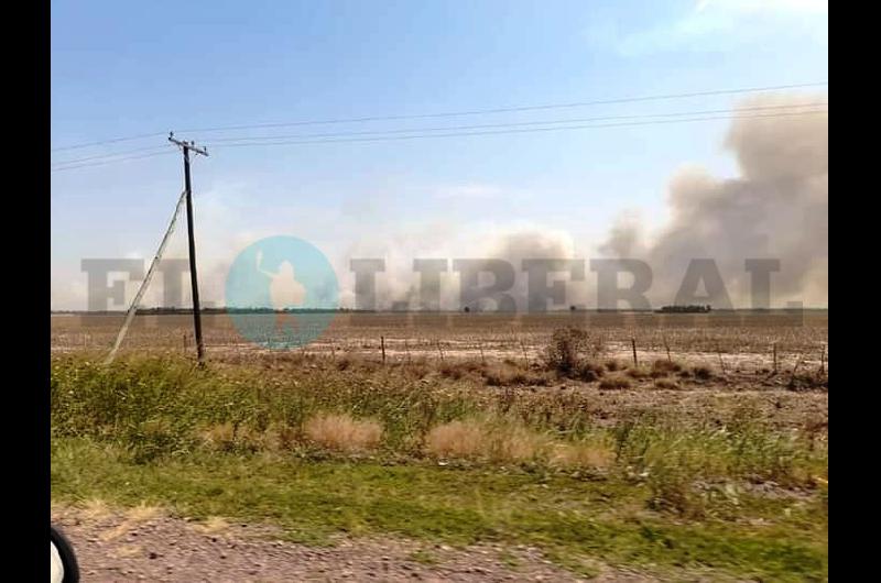 Fuego y desesperacioacuten en el interior por el incendio de campos en medio de la ola de calor