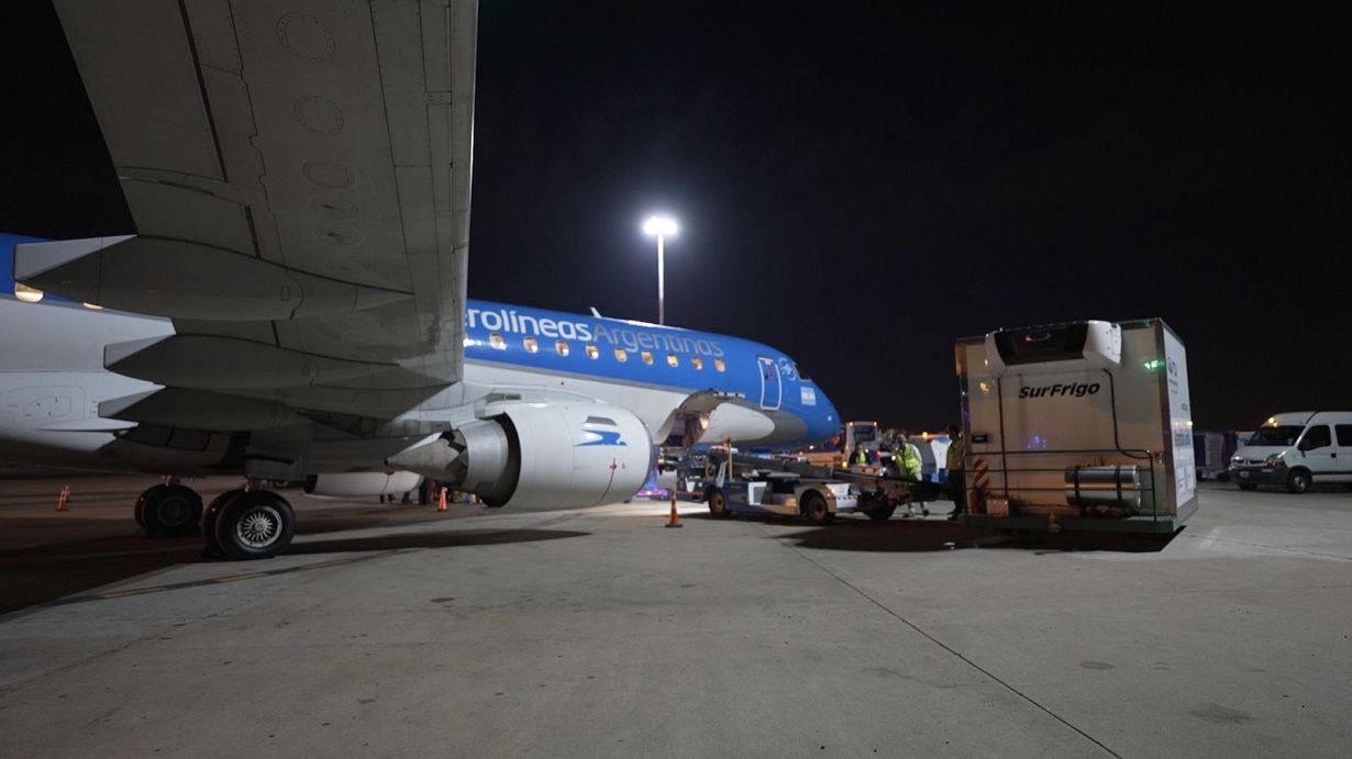 Por primera vez se exportoacute carne desde Santiago del Estero a Espantildea en un vuelo comercial