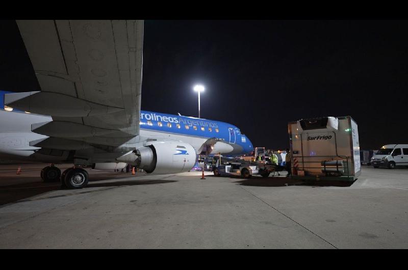 Por primera vez se exportoacute carne desde Santiago del Estero a Espantildea en un vuelo comercial