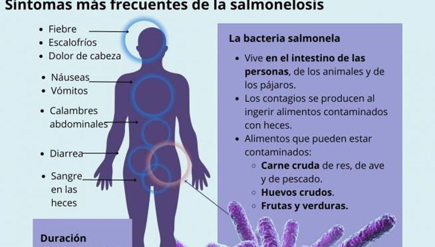 Lanzan pautas de cuidados para prevenir la salmonelosis