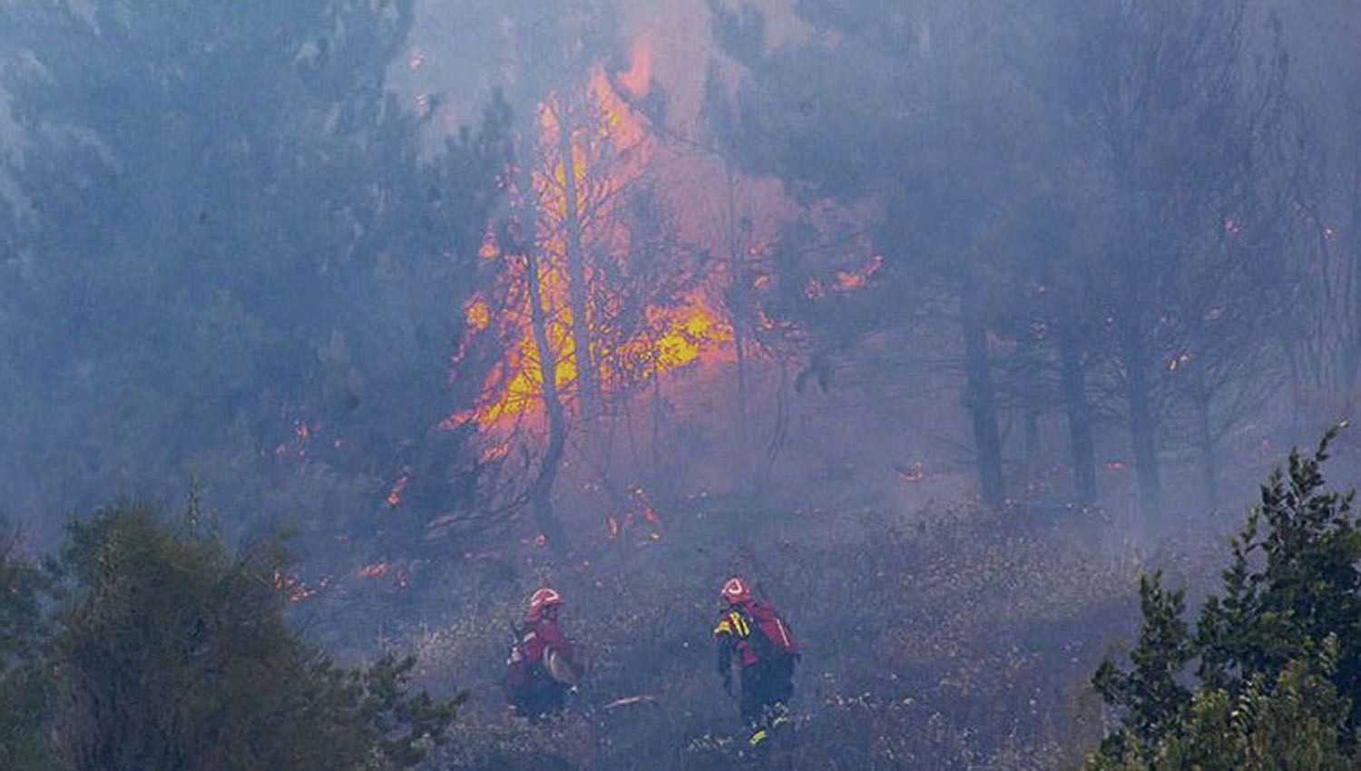 Resistencia Ancestral Mapuche se adjudicoacute el incendio en El Hoyo