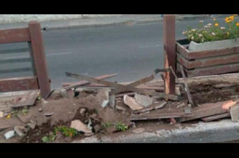 Un joven de 23 antildeos se durmioacute y destrozoacute un cantero en plena Avenida Belgrano