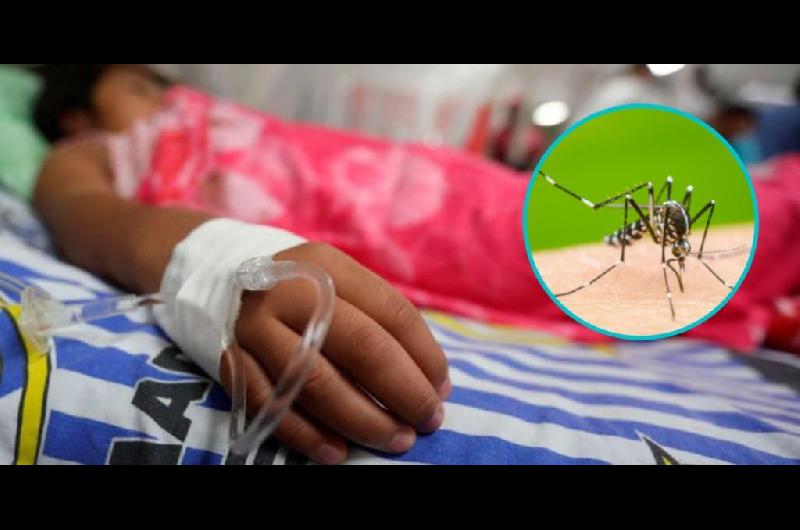 Dengue en la provincia- preocupa la cantidad de nintildeos que son asistidos con los siacutentomas