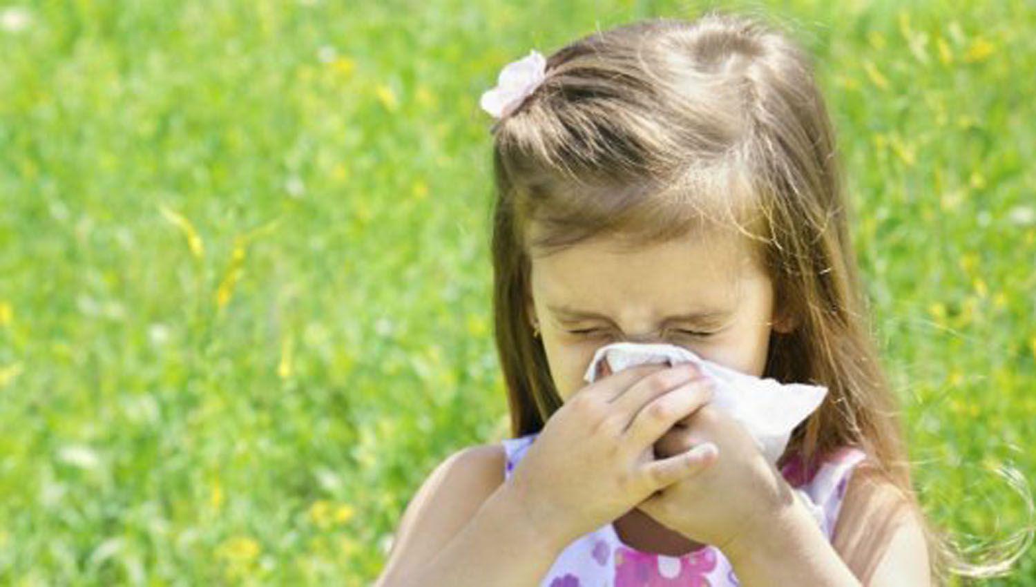 Con el otontildeo tambieacuten llegaron las molestas alergias que afectan viacuteas respiratorias y ojos