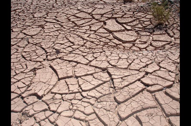 El Ministerio de Economiacutea declara la emergencia agropecuaria en Santiago del Estero por la sequiacutea