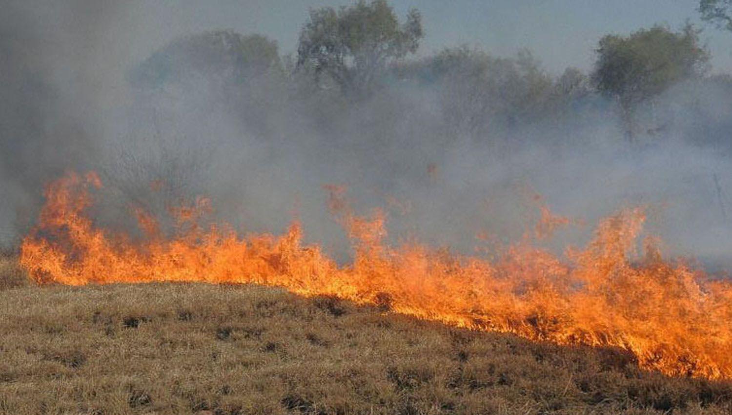 Confirman fallo contra encargado de campo por incendio de 4500 has