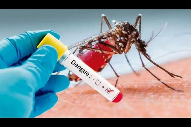 Continuacutea el aumento sostenido de casos de dengue en la provincia