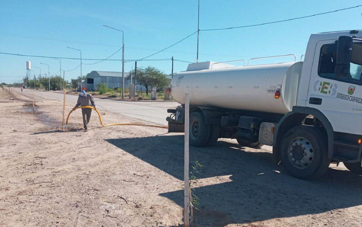 Colonia El Simbolar refuerza el plan de reforestacioacuten urbana