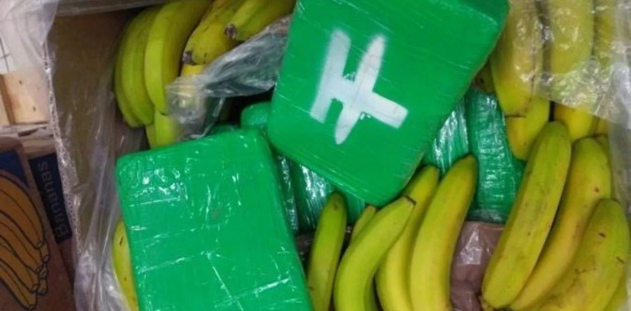 Hallan cocaiacutena oculta en un camioacuten que trasladaba bananas al mercado