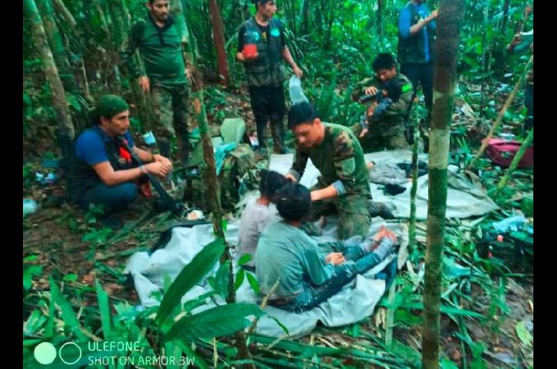 Leslie la heroiacutena de 13 antildeos que salvoacute a sus hermanitos en la Selva de Colombia- queacute hizo para sobrevivir