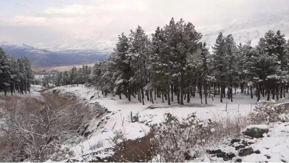 FOTOS Y VIDEO  Tafiacute del Valle amanecioacute cubierto por nieve