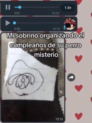 Un nintildeo le organizoacute el cumpleantildeos a su perro Misterio