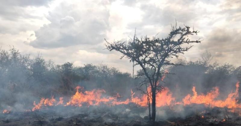 FOTOS  Bomberos combaten el incendio de montes al sur de la ciudad