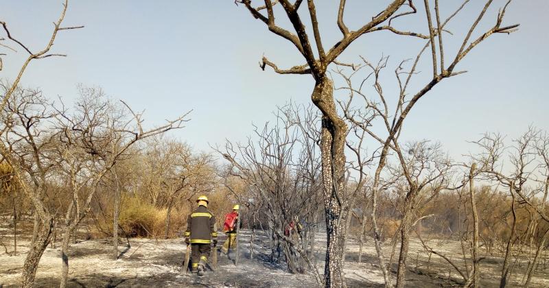 FOTOS  Bomberos combaten el incendio de montes al sur de la ciudad