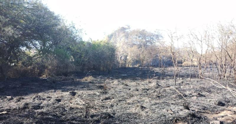 FOTOS  Bomberos combaten el incendio de montes al sur de la ciudad