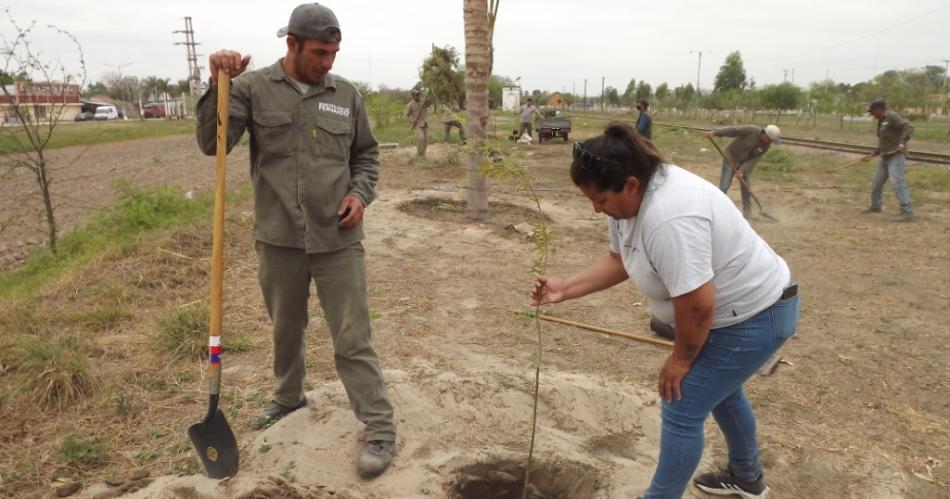 Destacan el avance de la campantildea de arbolado en la ciudad de Fernaacutendez