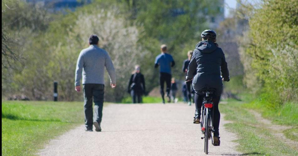 BENEFICIO Es fundamental realizar las caminatas o cualquier otra actividad física con control del médico