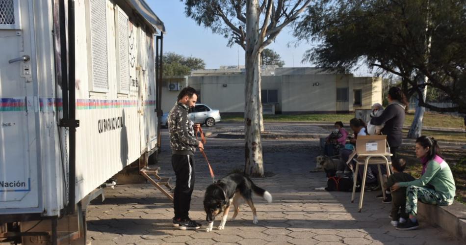 La campantildea termense de castracioacuten estaraacute en el CIC Miguelito Mukdise