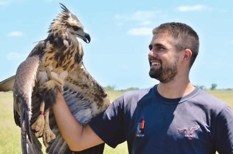 Santiago del Estero es un aacuterea importante para la conservacioacuten del Aacuteguila Coronada 