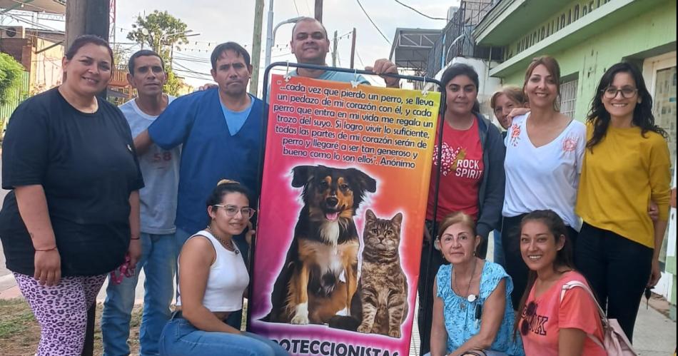 Realizaron una castracioacuten masiva de felinos y caninos en Los Juriacutees