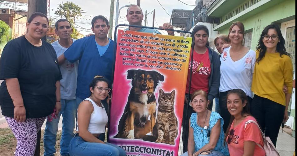 Realizaron una castracioacuten masiva de felinos y caninos en Los Juriacutees