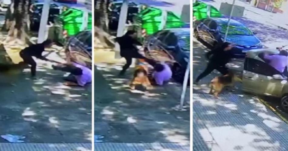 Agredioacute a palazos a un hombre que le pidioacute que junte la caca de su perro