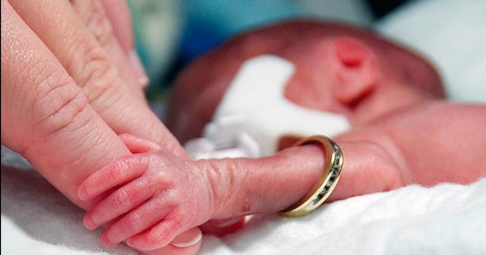 La presencia de la madre en la NEO es vital para el prematuro