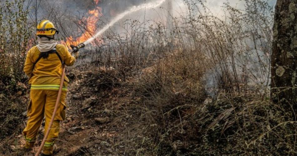 Coacuterdoba otra vez afectada por grandes incendios