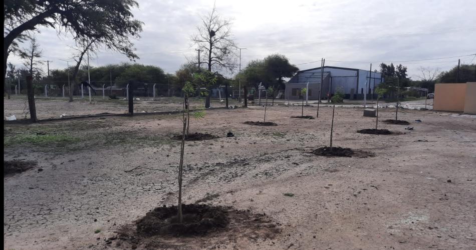 Se plantaron 100 ejemplares arboacutereos en los predios del Club Social Pinto