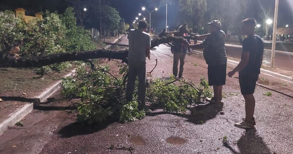 Una fuerte tormenta causoacute dantildeos en Sumampa