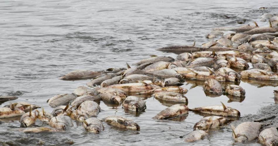 Tenemos gente intoxicada por elconsumo del agua y de peces