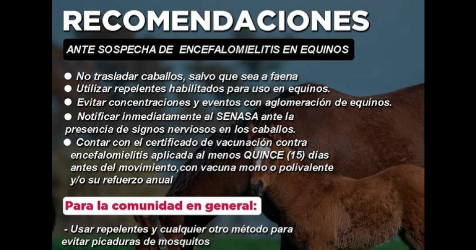 La cercaniacutea de casos de encefalomielitis equina genera acciones preventivas en Santiago