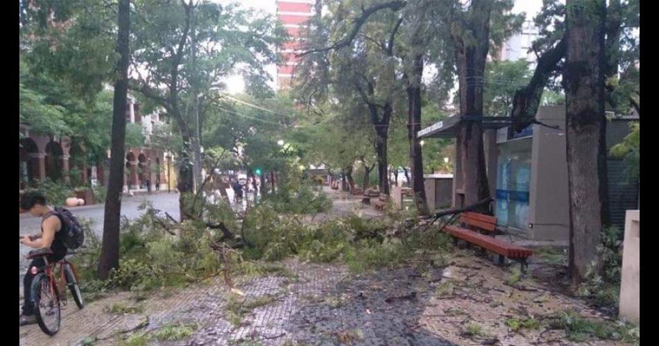 Coacutemo cuidarse ante fenoacutemenos climaacuteticos extremos