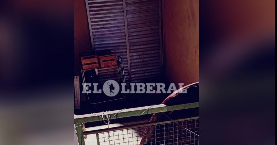 Hallan maacutes de 30 gatos en estado de abandono en un departamento del Bdeg El Palomar