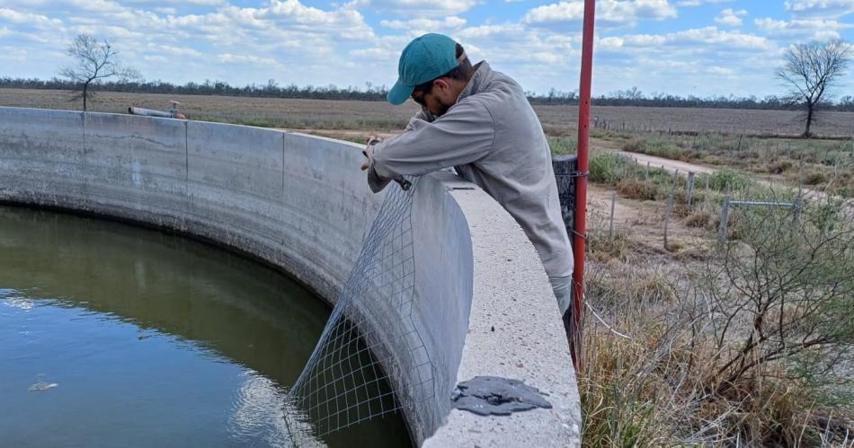 Bioacutelogos regresan en febrero a buscar al aacuteguila coronada en Santiago del Estero