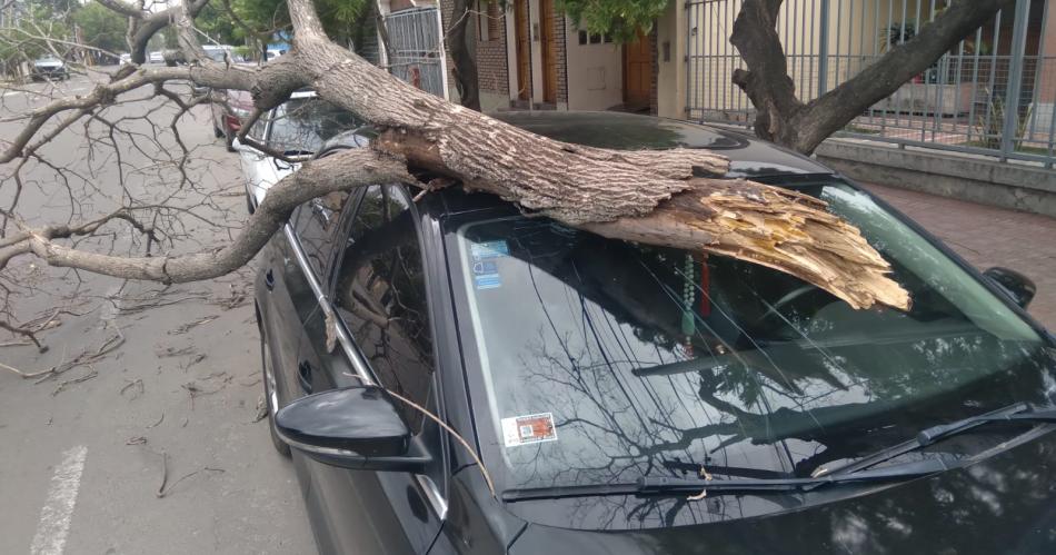 Los fuertes vientos causaron dantildeos sobre la Capital