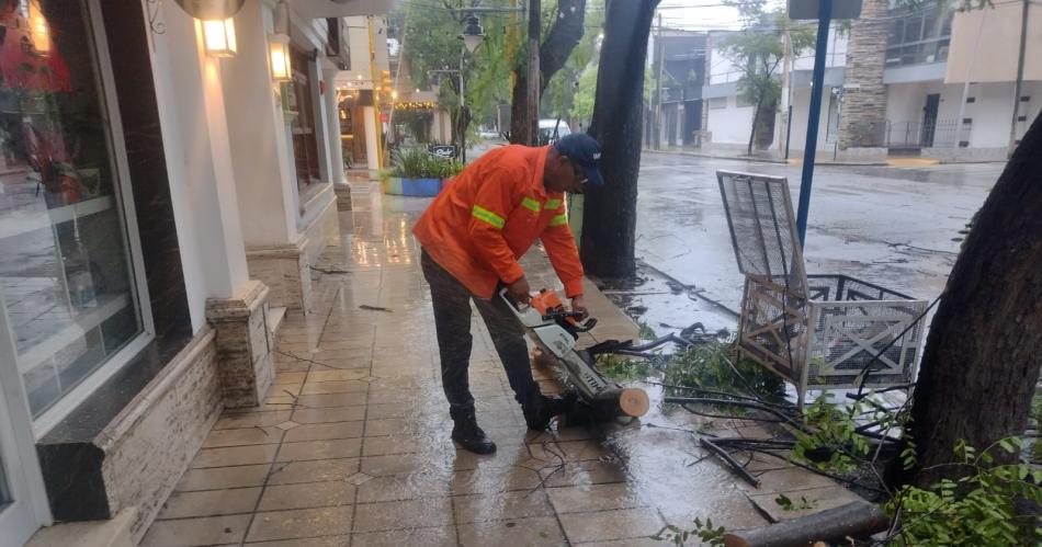 Ante los destrozos causados por las fuertes raacutefagas de viento se activoacute el Comiteacute de Emergencia 